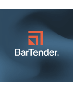 Seagull BarTender BTE-10-SUB-1YR